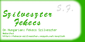 szilveszter fekecs business card